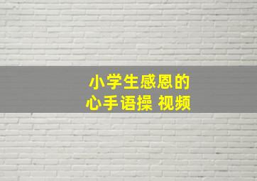 小学生感恩的心手语操 视频